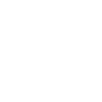 Pistols