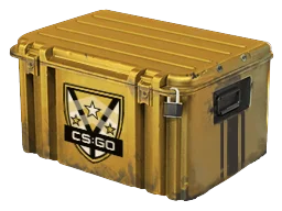 Case