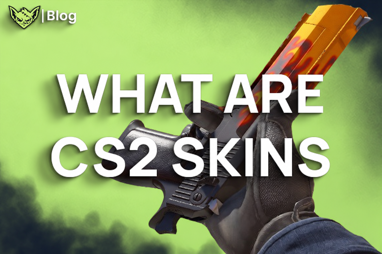 What are CS2 Skins